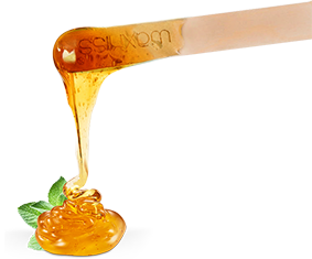 Sugaring Products